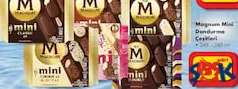 MAGNUM MİNİ DONDURMA ÇEŞİTLERİ 6'LI